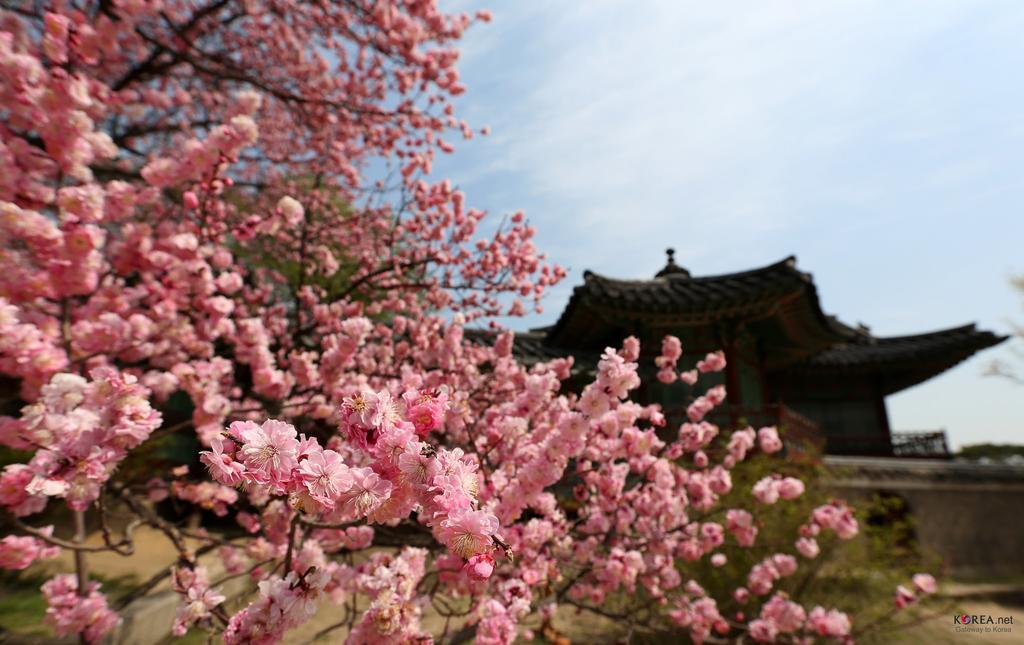 Seoul Forest Guesthouse Esterno foto